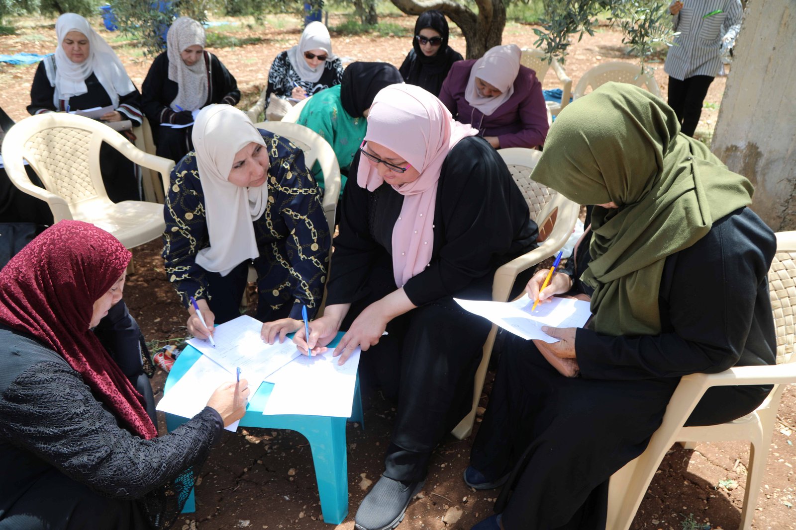 تعزيز القدرة على الصمود: كيف يُعيد المزارعون إحياء الأنساق الطبيعية في محافظات شمال الأردن من خلال مشروع حيادية الأراضي المتدهورة؟
