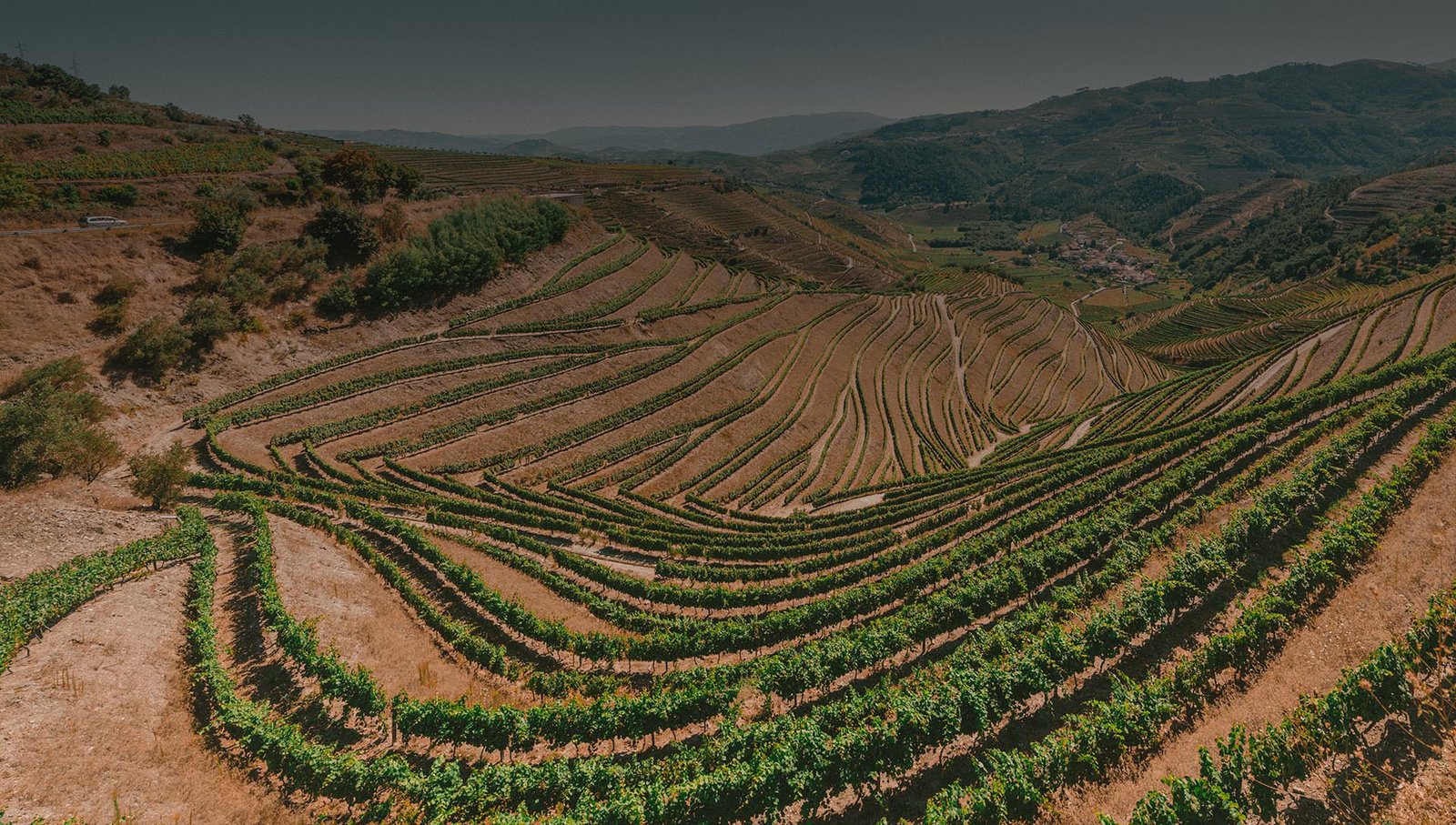 معرض الوسائط