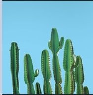 منتج معرفي تجريبي رقم 10