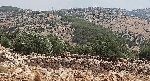 أنساق محافظة عجلون