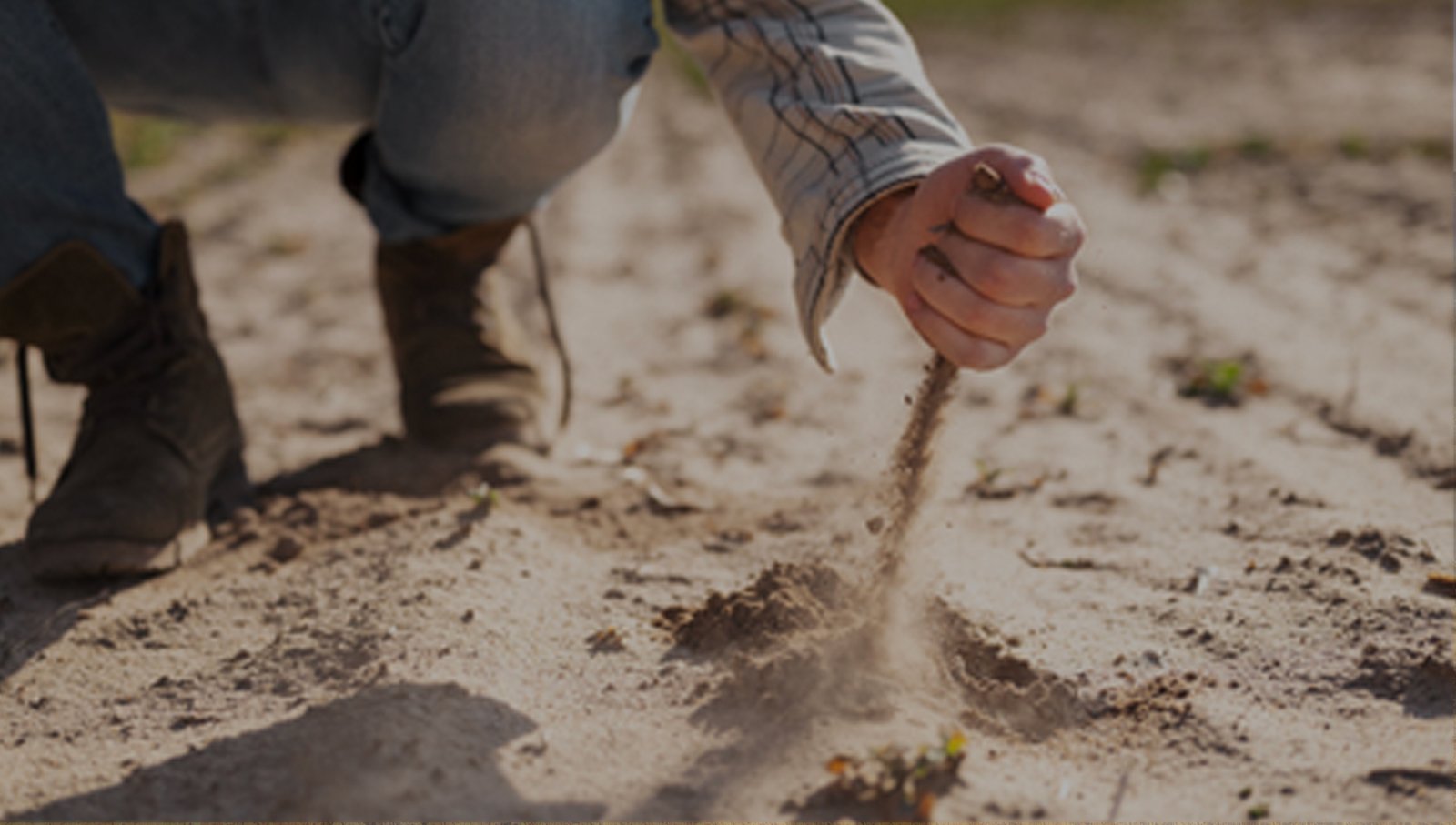 جاليري الفيديو